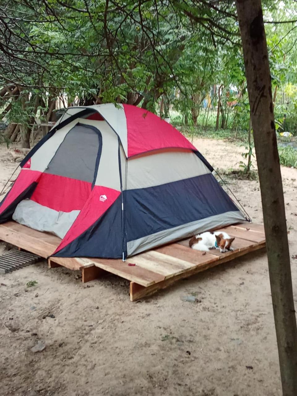 Hotel Flamencamarones Екстериор снимка